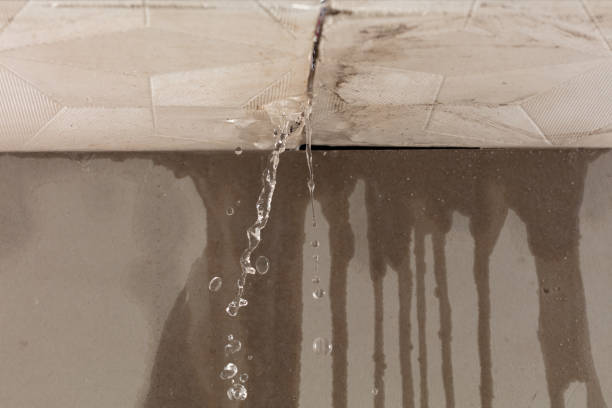 Professional Structural Drying technician working in Summerfield, IL